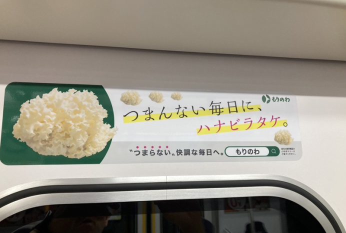 新宿線や有楽町線電車にハナビラタケのステッカー登場のイメージ画像